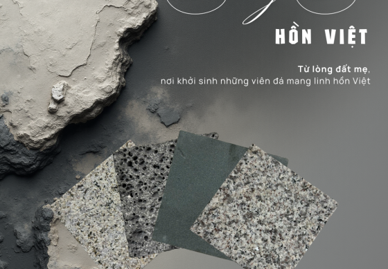 Nếu đ&aacute; biết n&oacute;i &ndash; C&acirc;u chuyện triệu năm của đ&aacute; tự nhi&ecirc;n Việt Nam