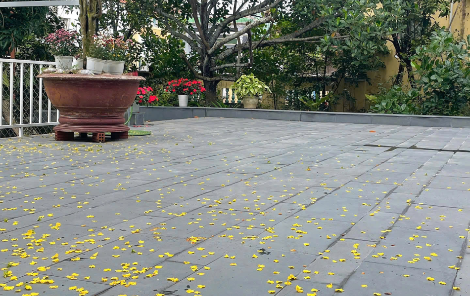 Đ&aacute; Sa thạch m&agrave;i mờ
