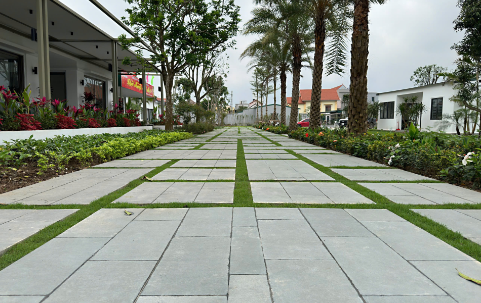 Đ&aacute; Bazan đốt mặt