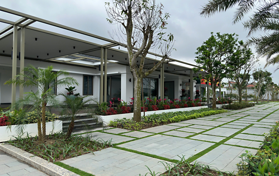 Đ&aacute; Bazan đốt mặt