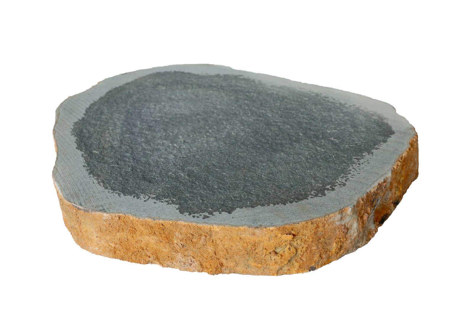 Bazan đen đốt mặt chừa viền