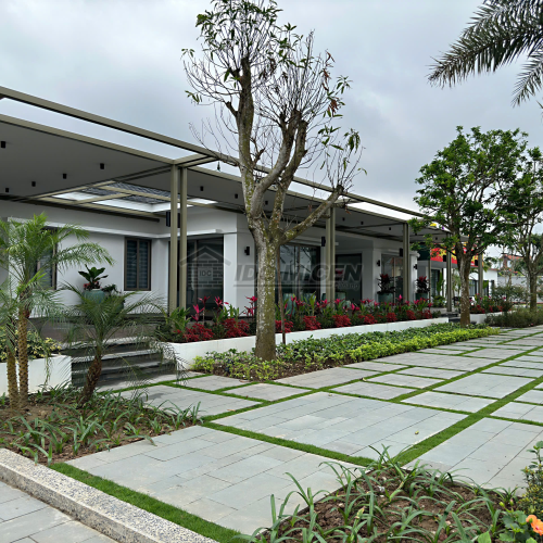 Đ&aacute; Bazan đốt mặt