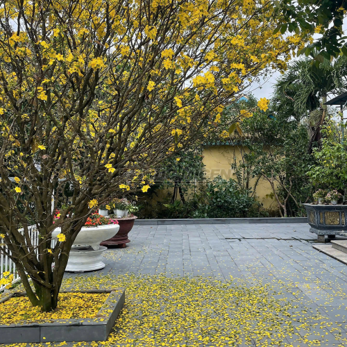 Đ&aacute; Sa thạch m&agrave;i mờ
